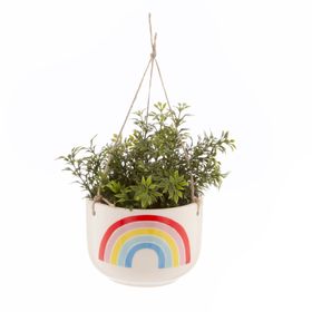 Chasing Rainbows Hanging Planter