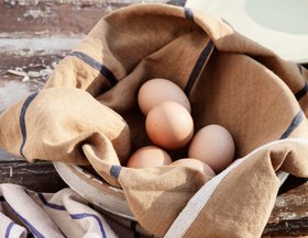 Hale Tea Towel Lime Bright Blue Choco