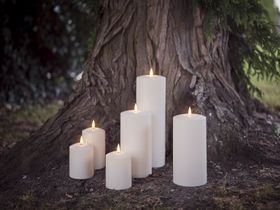 Candles by Ancient Tree Trunk