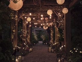 Vintage Light Bulb Among Green Leaves
