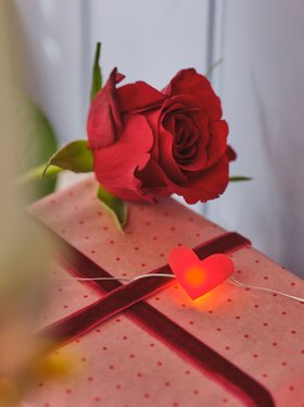 Spring & Valentine's Decor Inspiration with 20 Heart Micro Fairy Lights