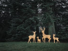 Leyburn Dual LED Rattan Set of 4 Light Up Reindeer Family