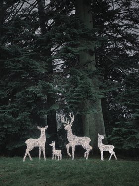 Leyburn Dual LED Rattan Set of 4 Light Up Reindeer Family