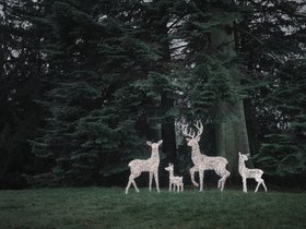Leyburn Dual LED Rattan Set of 4 Light Up Reindeer Family