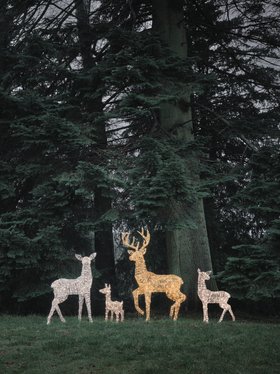 Leyburn Dual LED Rattan Set of 4 Light Up Reindeer Family
