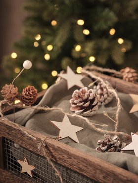 L4f Xmas 0726 894