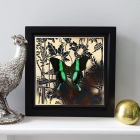 (CHARACTER PIECE) LAGOON Green Swallowtail: gold/ black