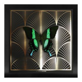 DECO FAN Green Swallowtail: gold/ black (Character Piece)