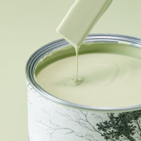 Paint by Woodchip & Magnolia