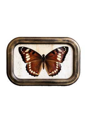 Vintage-Style Butterfly Framed Wall Art