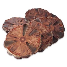Banksia-Nut Coasters