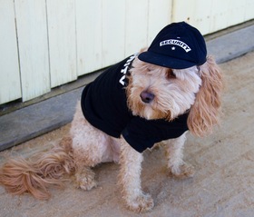 security dog shirt