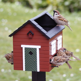 Press Loft Image Of Designer Bird Feeder Bath Dark Cherry