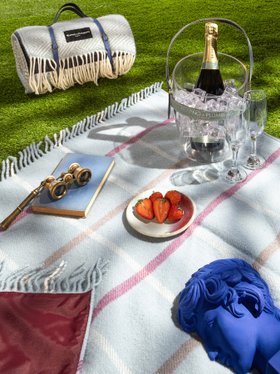 Heating & Plumbing London - Pure New Wool Picnic Blanket - Duck Egg Checks