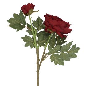 Antique Burgundy Peony w Bud Stem, £5.99