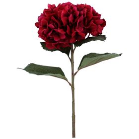 Magenta Giant Hydrangea Stem, £9.99