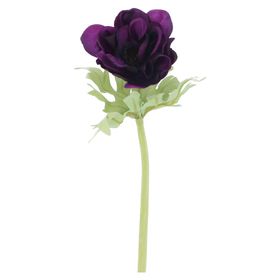 Purple Anemone Stem, £5.99