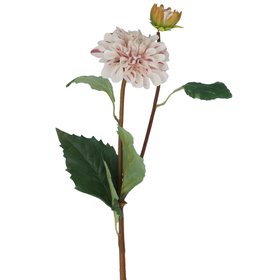 White & Pink Striped Dahlia Spray, £7.49