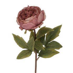 END FEB '26: Dusky Mauve Peony Stem, £4.99