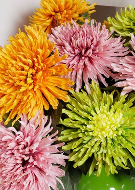 Assorted Giant Chrysanthemum Stems, £6.49 each
