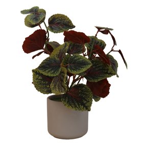 Faux Coleus in Pot, £12.99