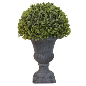 Faux Boxwood Topiary in Urn, Sml, £19.99