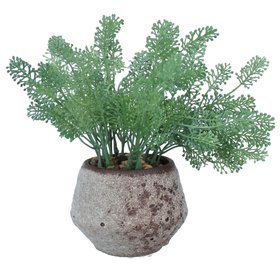 Faux Seed Fern Succulent in Aged Pot, £16.99