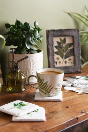 Green Fern Mug, £7.99