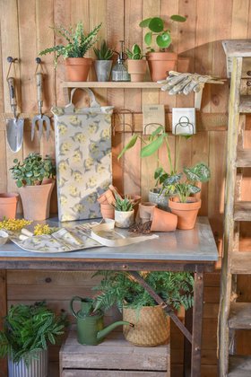 Mimosa Gardening Range, from £19.99