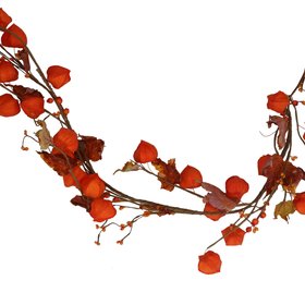 AUTUMN '26: Orange Physalis & Autumn Garland, £37.99