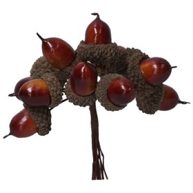 SEP '26: Brown Acorn Pick Bunch, £2.49