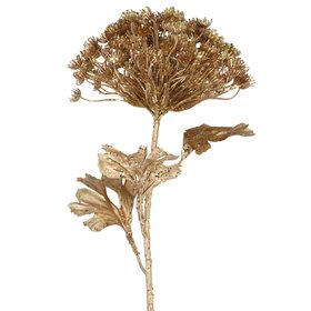 SEP '26: Gold Cow Parsley spray, £8.99