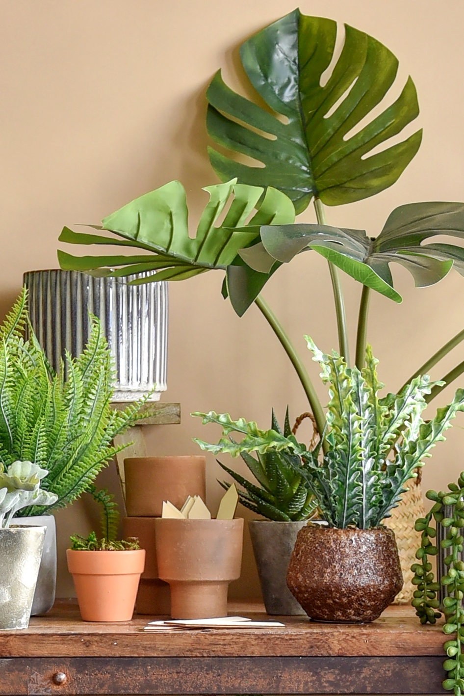 Assorted Faux Plants, from £14.99