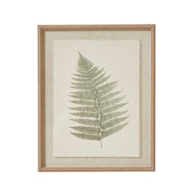 COX&COX Framed Bracken Leaf Print