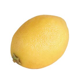 COX&COX Four Decorative Faux Lemons