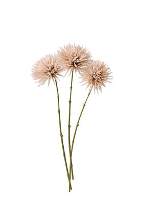 COX&COX Three Faux Chrysanthemum Stems - Mocha 1151227