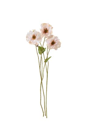 COX&COX Three Faux Poppy Stems - Soft Peach 1151209