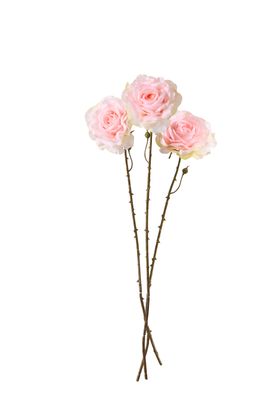 COX&COX Three Sumptuous Faux Rose Stems - Blush 1151205