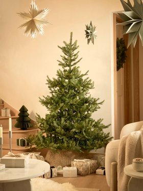 COX & COX Bergen Spruce Pre-Lit Christmas Tree - 6ft