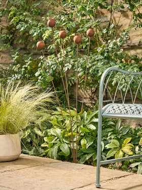 COX&COX A Bevy of Poppies 1551855