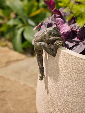 COX&COX Freddie Frog Pot Hanger 1552194