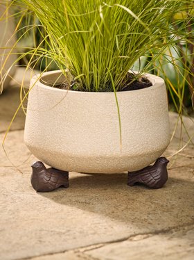 COX&COX Three Cast Iron Bird Pot Feet 1552193