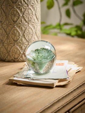 COX&COX Trapped Flower Paperweight 1152770