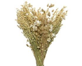 COX&COX Dried Daisy & Wheat Bouquet 1132230