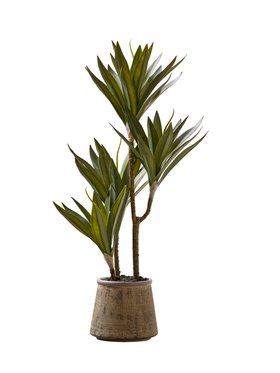 COX&COX Faux Ceramic potted Yucca 1152554