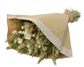 COX&COX Dried Daisy & Wheat Bouquet 1132230