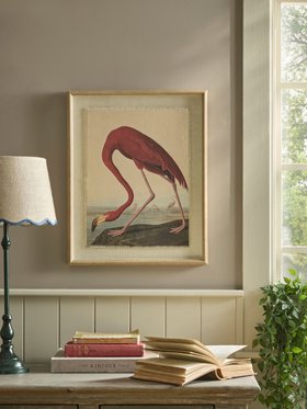 COX&COX Beaded Frame Flamingo Print 1152503