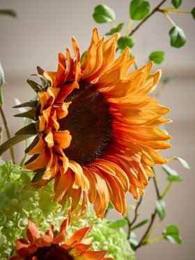 COX&COX Sunflower Spray 1152912