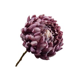COX&COX Chrysanthemum Spray - Purple 1152910