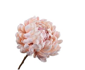 COX&COX Chrysanthemum Spray - Pink 1152911